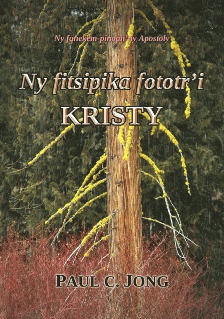 Paul C. Jong - Ny fitsipika fototr'i Kristy: Ny fanekem-pinoan'ny Apostoly, E-bok