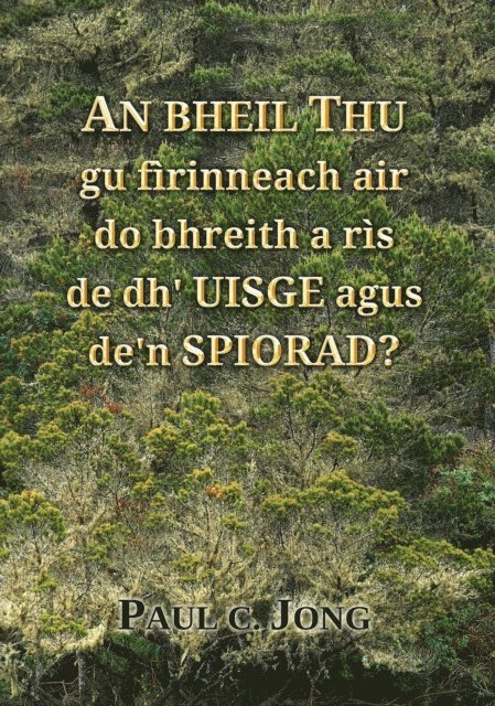 Paul C. Jong - Bheil Thu gu firinneach air do bhreith a ris de dh' Uisge agus de'n Spiorad?, E-bok