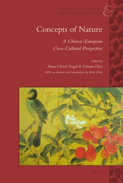 Gunter Dux, Hans Ulrich Vogel - Concepts of Nature, E-bok