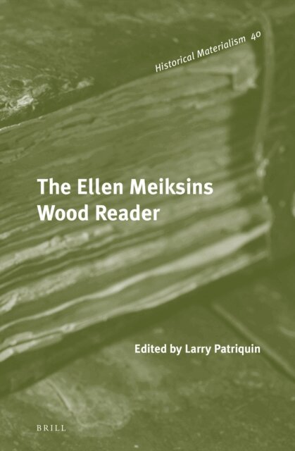 Ellen Meiksins Wood, Larry Patriquin - Ellen Meiksins Wood Reader, E-bok