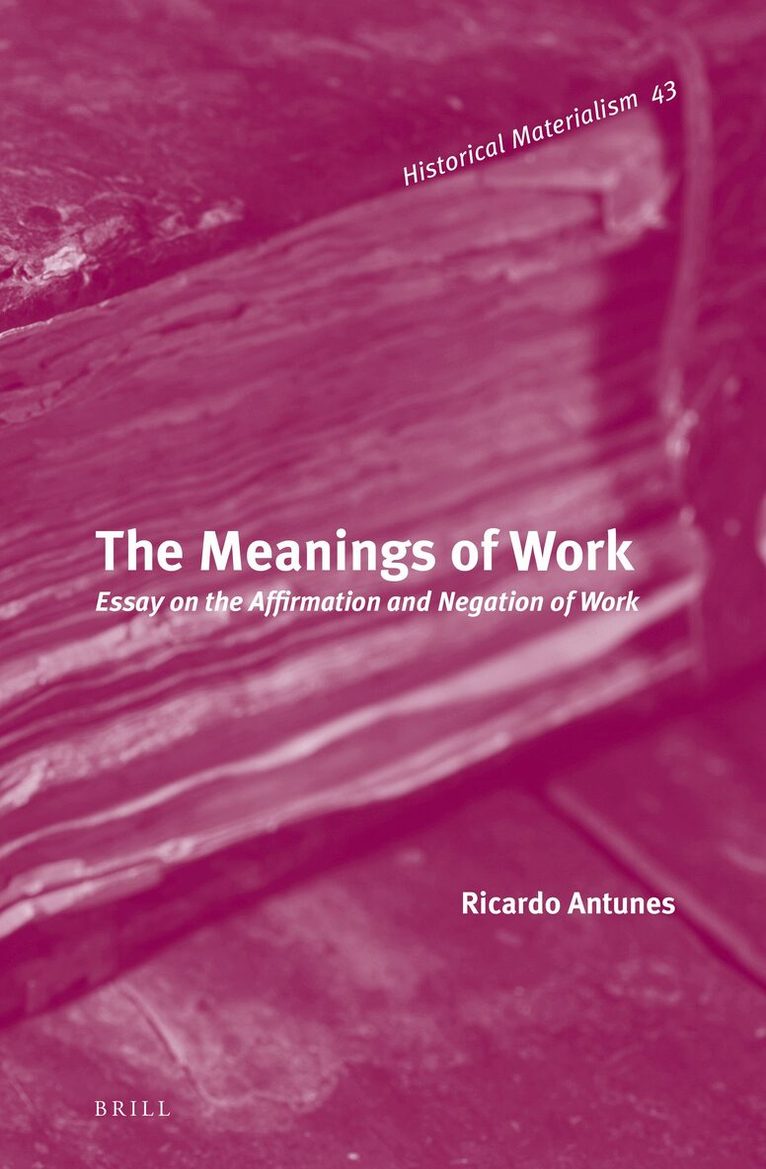 Ricardo Antunes - Meanings of Work, Inbunden