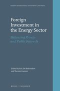 Foreign Investment in the Energy Sector