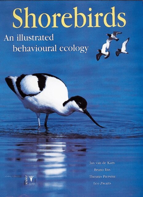 Leo Zwarts, Theunis Piersma, Bruno Ens, Jan van de Kam - Shorebirds, E-bok
