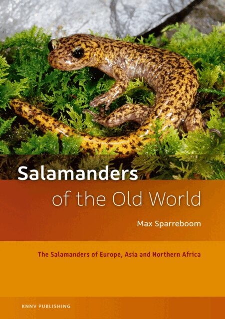 Max Sparreboom - Salamanders of the Old World, E-bok