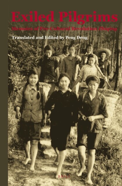 Peng Deng - Exiled Pilgrims, E-bok