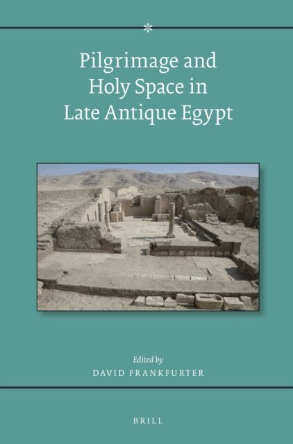 David Frankfurter - Pilgrimage and Holy Space in Late Antique Egypt, E-bok