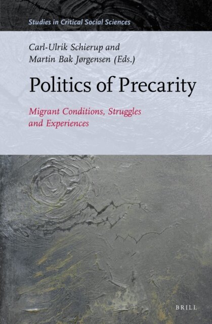 Politics of Precarity, E-bok