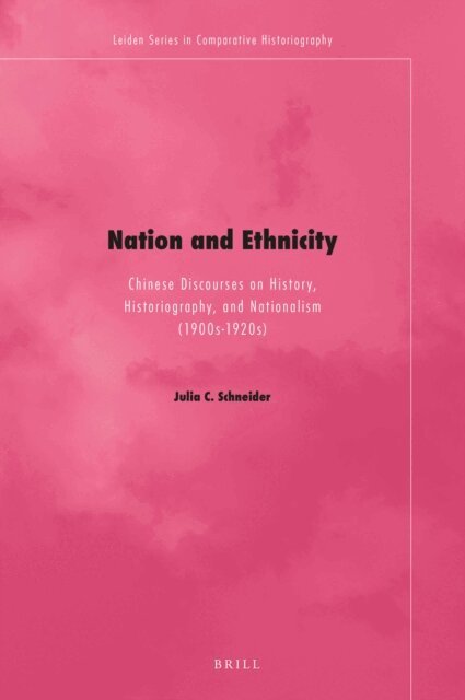 Julia C. Schneider - Nation and Ethnicity, E-bok