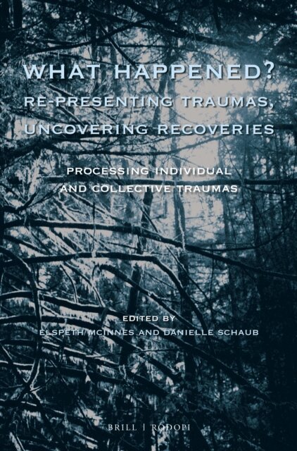 Danielle Schaub, Elspeth McInnes - What Happened? Re-presenting Traumas, Uncovering Recoveries, E-bok