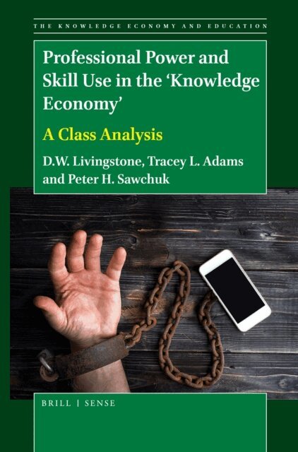 Peter Sawchuk, Tracey L. Adams, D.W. Livingstone - Professional Power and Skill Use in the 'Knowledge Economy', E-bok
