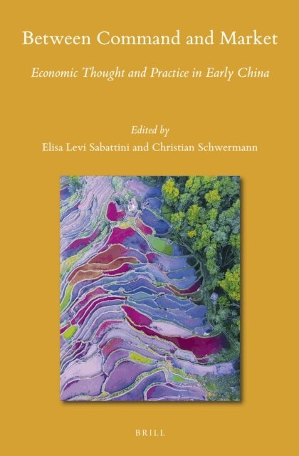 Christian Schwermann, Elisa Levi Sabattini - Between Command and Market, E-bok