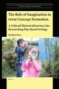 The Role of Imagination in STEM Concept Formation