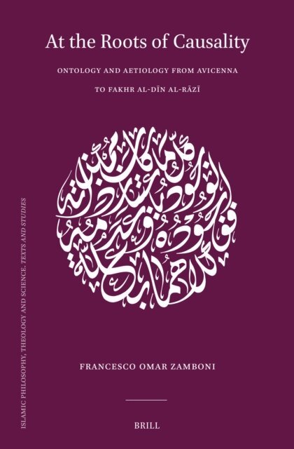 Francesco Omar Zamboni - At the Roots of Causality, E-bok