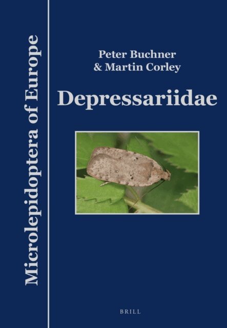 Martin Corley, Peter Buchner - Depressariidae, E-bok
