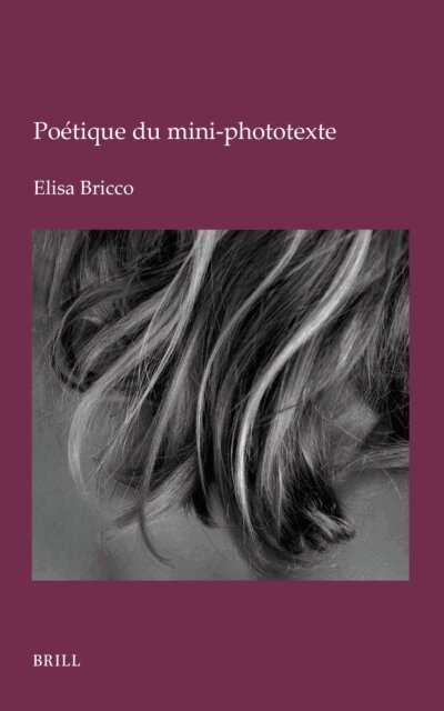 Elisa Bricco - Poetique du mini-phototexte, E-bok