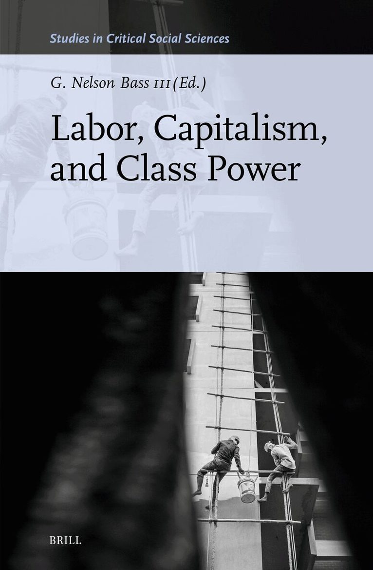 Labor, Capitalism, and Class Power, Inbunden