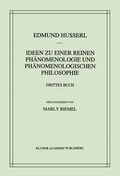 Ideen zu einer reinen Ph�nomenologie und ph�nomenologischen Philosophie