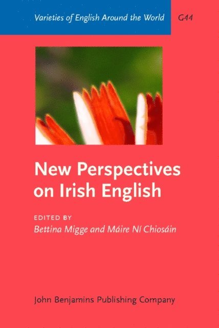 Ni Chiosain Maire Ni Chiosain, Migge Bettina Migge - New Perspectives on Irish English, E-bok