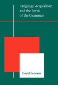 Language Acquisition and the Form of the Grammar