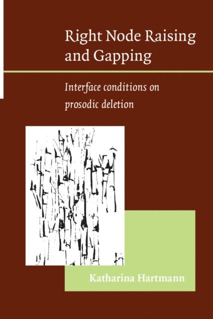 Hartmann Katharina Hartmann - Right Node Raising and Gapping, E-bok