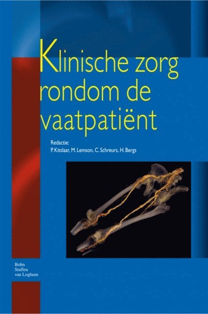 M. Lemson, C. Schreurs, P. Kitslaar, H. Bergs - Klinische zorg rondom de vaatpatiënt, E-bok