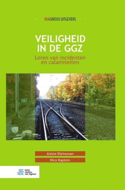 Nico Kaptein, Alette Kleinsman - Veiligheid in de ggz, E-bok
