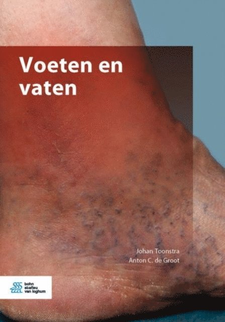 Anton  C. de Groot, Johan Toonstra - Voeten en vaten, E-bok