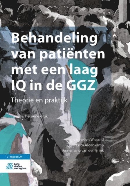 Annemarie van den Brink, Erica Aldenkamp, Jannelien Wieland - Behandeling van patiënten met een laag IQ in de GGZ, E-bok
