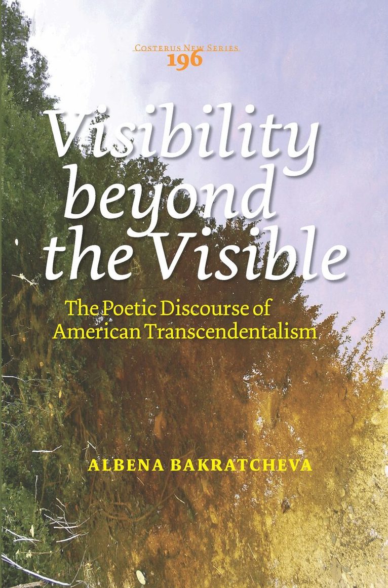 Visibility beyond the Visible