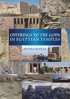 S. Cauville - Offerings to the Gods in Egyptian Temples, Häftad
