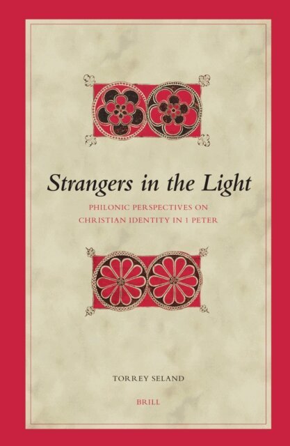 Torrey Seland - Strangers in the Light, E-bok