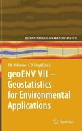 geoENV VII  Geostatistics for Environmental Applications