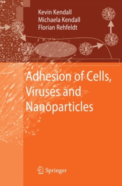 Florian Rehfeldt, Michaela Kendall, Kevin Kendall - Adhesion of Cells, Viruses and Nanoparticles, E-bok