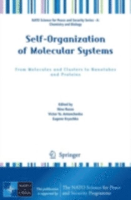Eugene Kryachko, Victor Ya Antonchenko, Nino Russo - Self-Organization of Molecular Systems, E-bok