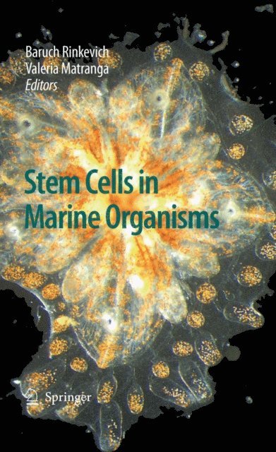 Valeria Matranga, Baruch Rinkevich - Stem Cells in Marine Organisms, E-bok