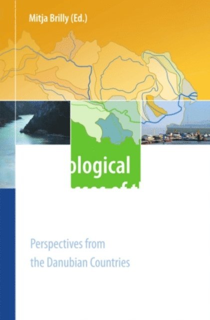 Mitja Brilly - Hydrological Processes of the Danube River Basin, E-bok