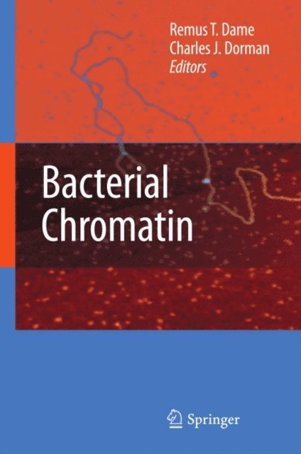 Charles J. Dorman, Remus T. Dame - Bacterial Chromatin, E-bok