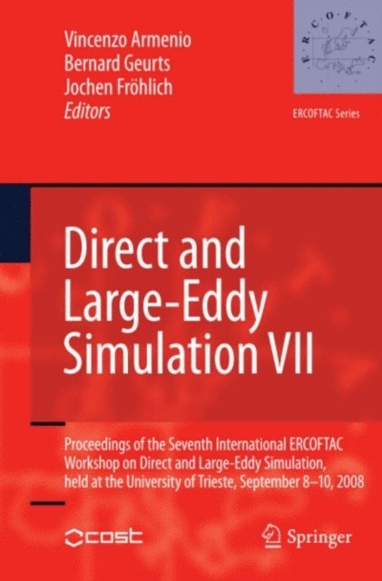 Jochen Frohlich, Bernard Geurts, Vincenzo Armenio - Direct and Large-Eddy Simulation VII, E-bok