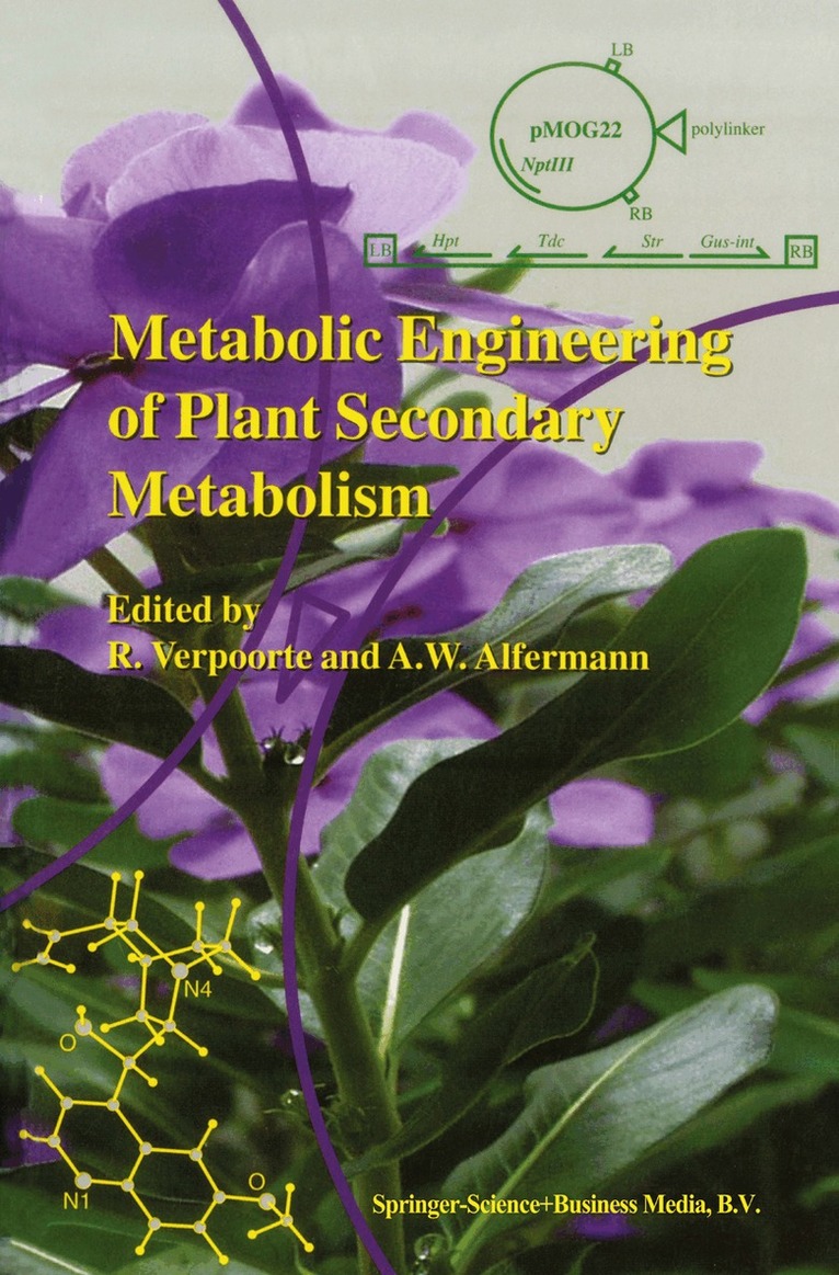 R. Verpoorte, A. Wilhelm Alfermann - Metabolic Engineering of Plant Secondary Metabolism, Häftad