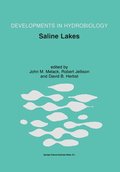 Saline Lakes