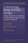 Cohomology Rings of Finite Groups