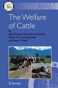 The Welfare of Cattle