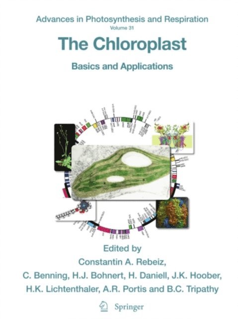 Baishnab C. Tripathy, Archie R. Portis, Hartmut K. Lichtenthaler, J. Kenneth Hoober, Henry Daniell, Ph.D., Hans J. Bohnert, Christoph Benning, Constantin A. Rebeiz - Chloroplast, E-bok