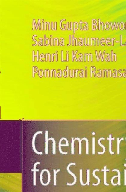 Ponnadurai Ramasami, Henri Li Kam Wah, Sabina Jhaumeer-Laulloo, Minu Gupta Bhowon - Chemistry for Sustainable Development, E-bok
