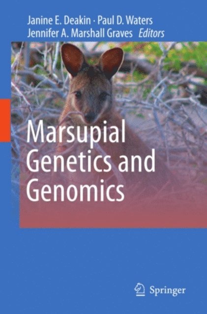 Jennifer A. Marshall Graves, Janine E. Deakin, Paul D. Waters - Marsupial Genetics and Genomics, E-bok
