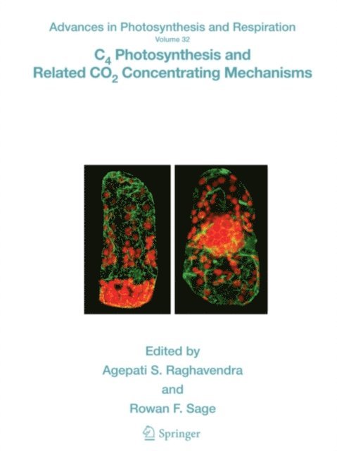 Rowan F. Sage, Agepati S. Raghavendra - C4 Photosynthesis and Related CO2 Concentrating Mechanisms, E-bok