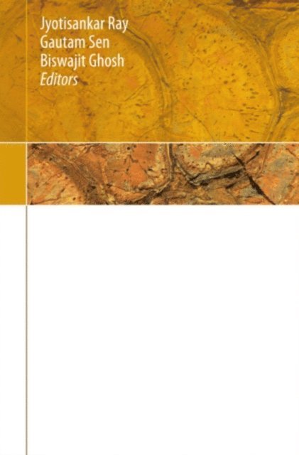 Biswajit Ghosh, Gautam Sen, Jyotisankar Ray - Topics in Igneous Petrology, E-bok