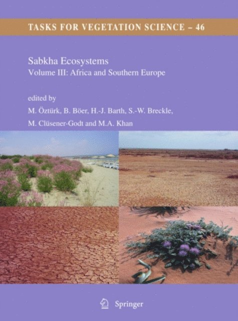 M. Ajmal Khan, Miguel Clusener-Godt, Siegmar-W. Breckle, Hans-Jorg Barth, Benno Boer, Munir Ozturk - Sabkha Ecosystems, E-bok