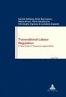 Transnational Labour Regulation