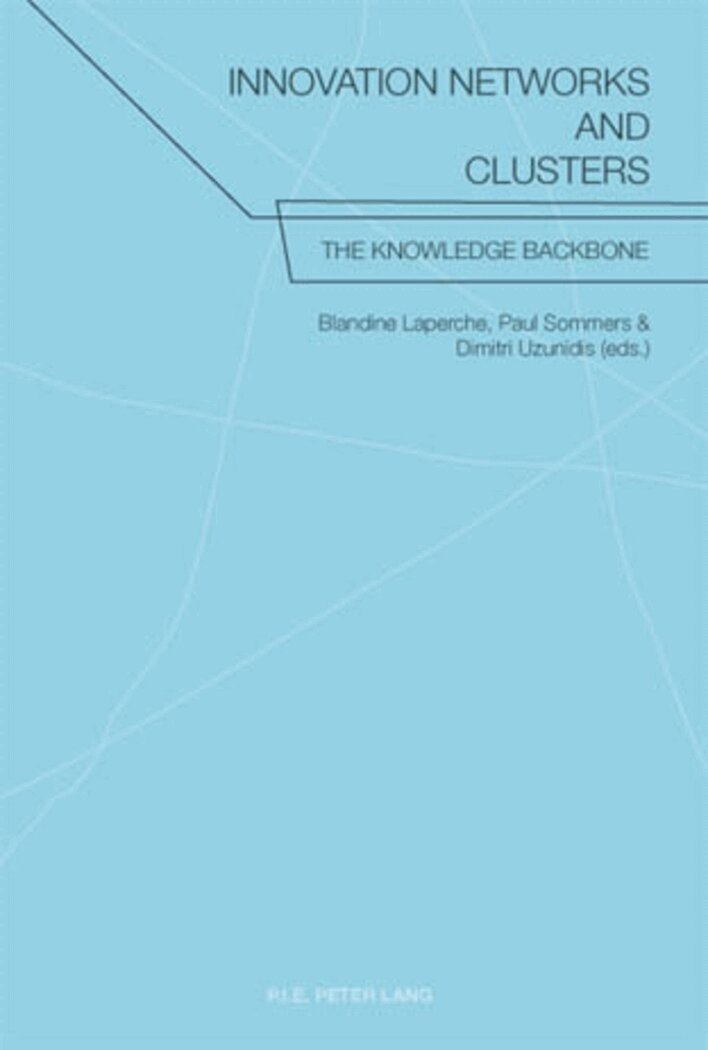 Laperche-B, Blandine Laperche, Paul Sommers, Dimitri Uzunidis - Innovation Networks and Clusters, Häftad